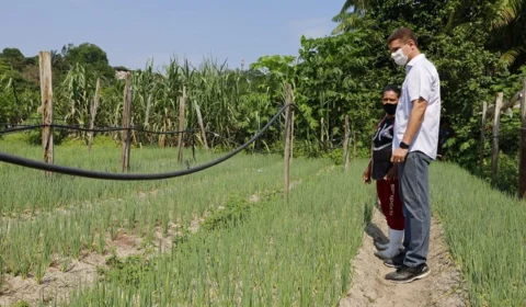 David e Marcos Rotta prometem escoamento da produção dos agricultores de Manaus