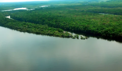 AGU comemora resultados da Força-Tarefa em Defesa da Amazônia