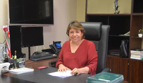 Presidente do TRT11 reúne com comitê para tratar sobre retomada das atividades presenciais