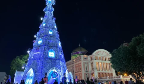 Governo desmente suposta árvore de Natal de R$ 2 milhões