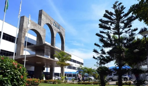 Câmara de Manaus aprova projeto de lei que proíbe linguagem neutra nas escolas de Manaus