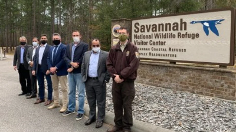 MPF articula devolução de madeira da Amazônia exportada ilegalmente para os Estados Unidos