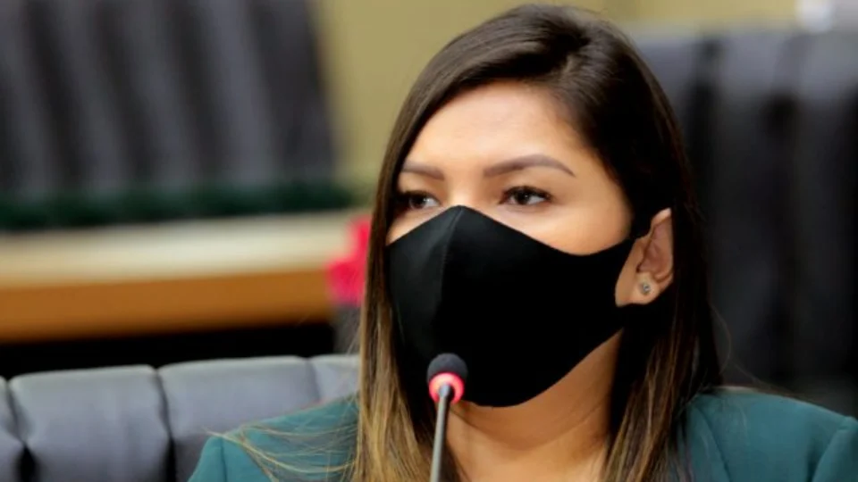 Deputada Joana Darc solicita ao Governo retorno gradual do comércio no AM