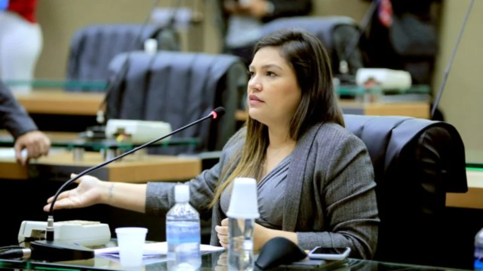 Assembleia vota em projeto que determina isenção do ICMS no preço de gás e itens da cesta básica