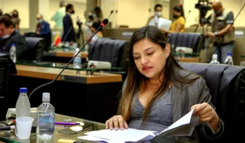 PL de Joana Darc reconhece lojas de serviços e artigos para maternidade como essenciais