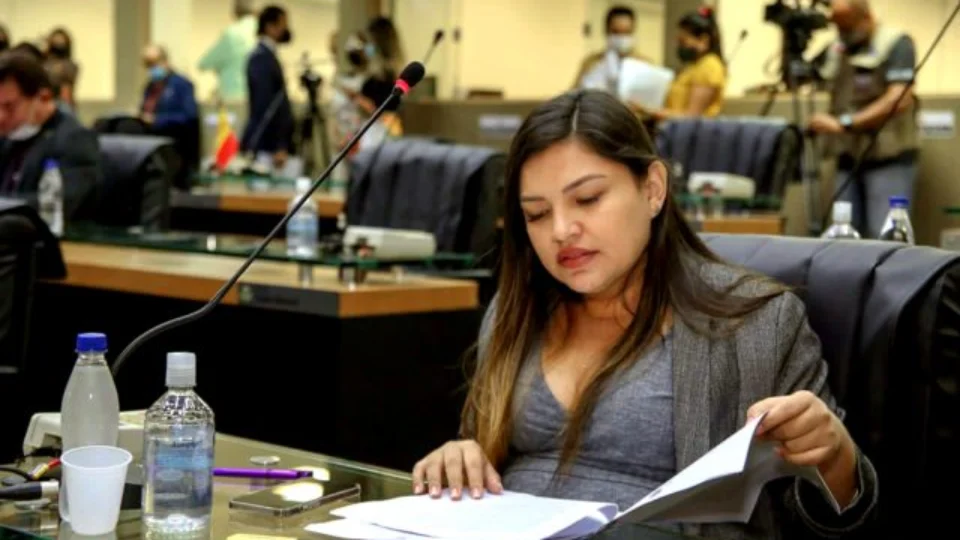 PL de Joana Darc reconhece lojas de serviços e artigos para maternidade como essenciais