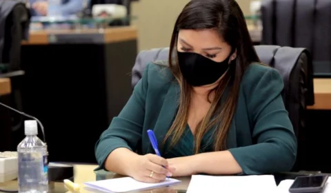 Leis de autoria da deputada Joana Darc vão permitir tratamento de doença transmitida por gatos