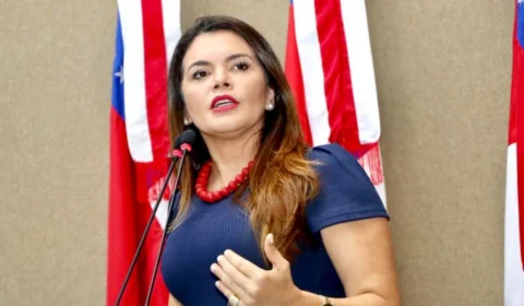 Deputada Alessandra Campêlo defende PL do Governo que perdoa dívida de empreendedores do AM