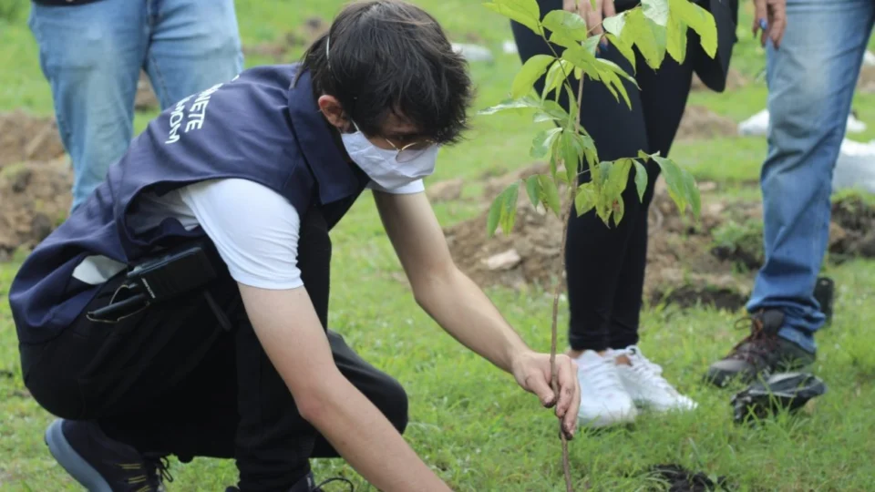 Projeto de Amom planta e distribui quase mil mudas de árvores em Manaus