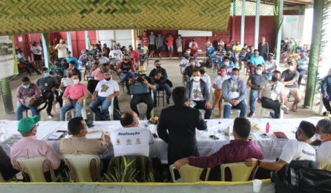 Audiência pública articula produção sustentável do babaçu no Amazonas