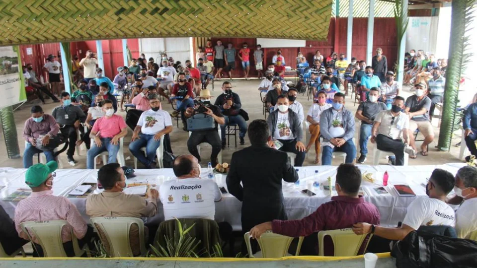 Audiência pública articula produção sustentável do babaçu no Amazonas