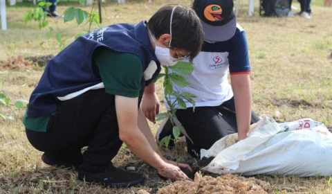 Amom planta árvore de número 1,6 mil do Projeto Galho Forte