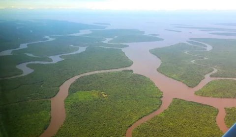 PSB aciona STF contra decretos que incentivam garimpo na Amazônia Legal