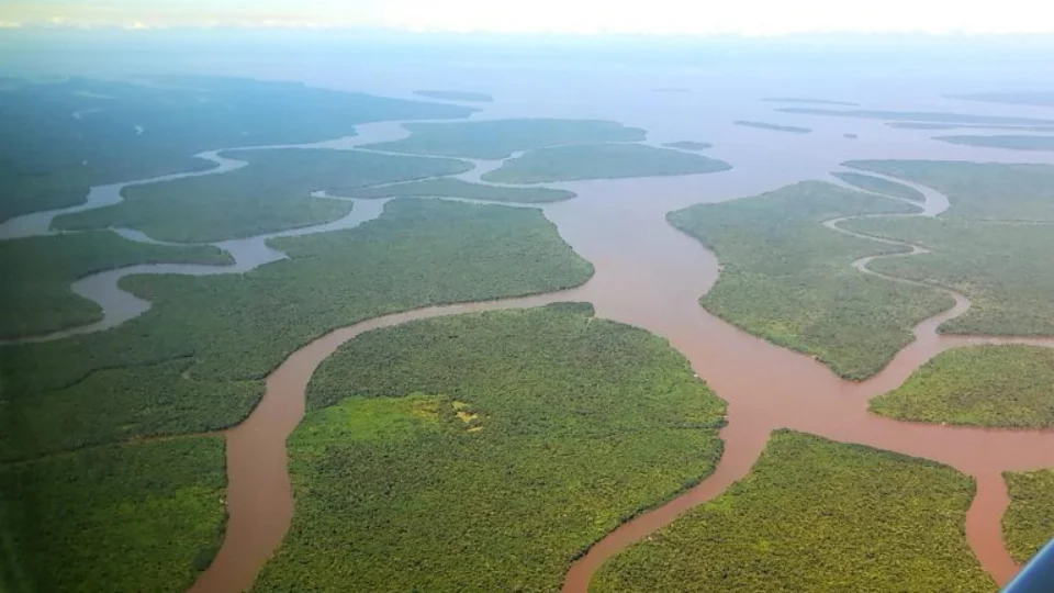 PSB aciona STF contra decretos que incentivam garimpo na Amazônia Legal
