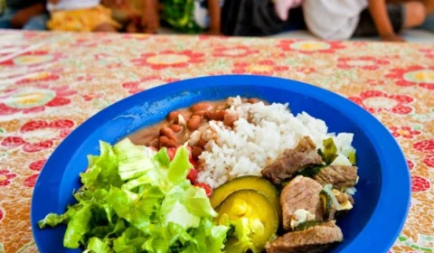 Prefeituras do Amazonas devem comprar 30% dos alimentos da merenda escolar da agricultura familiar, recomenda MPF