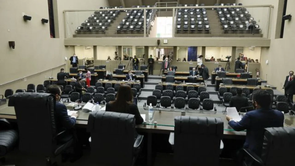 Pauta de tramitação da Aleam tem projetos voltados para o meio ambiente e saúde mental