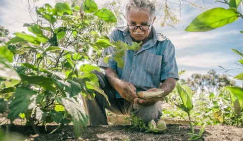 Incra e 12 municípios do Amazonas devem garantir regularização fundiária de áreas rurais por meio de programa federal