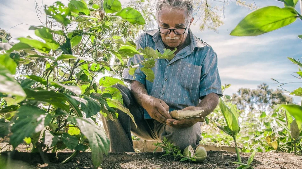 Incra e 12 municípios do Amazonas devem garantir regularização fundiária de áreas rurais por meio de programa federal