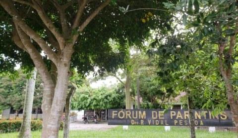 Em Parintins, portaria disciplina participação de crianças e adolescentes em eventos por plataformas digitais