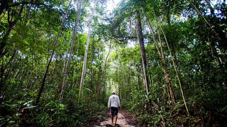 Mercado de carbono será tema de debate no Senado nesta segunda-feira