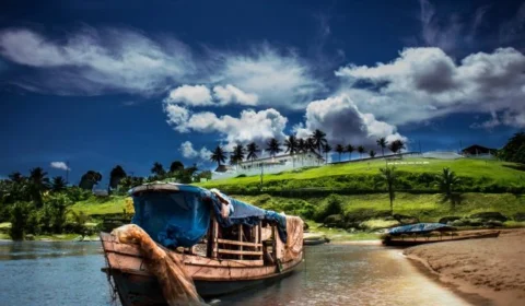 Dia da Amazônia é celebrado pela Aleam com medidas de proteção ao meio ambiente