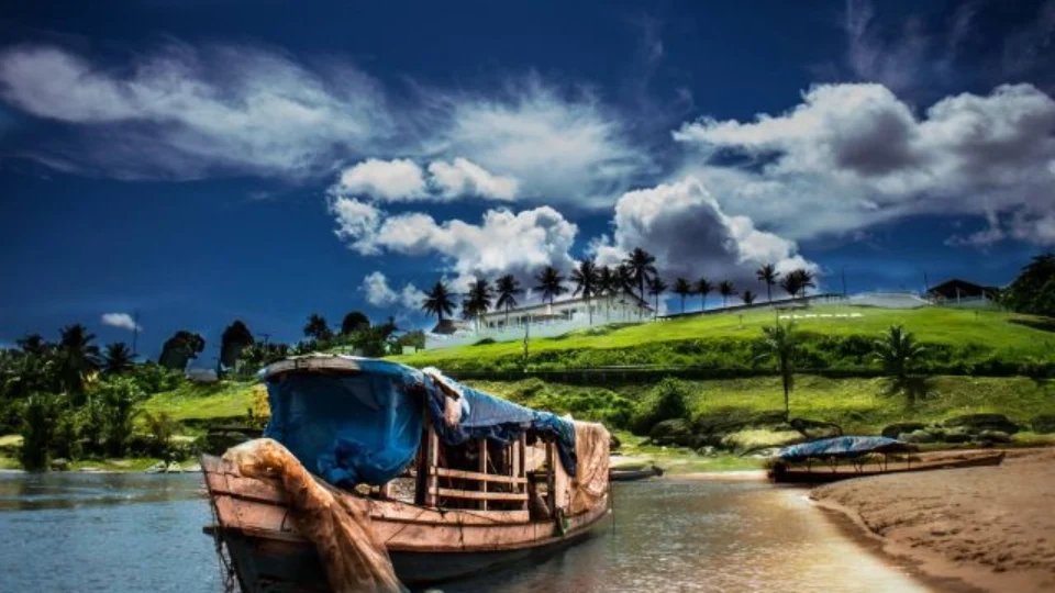 Dia da Amazônia é celebrado pela Aleam com medidas de proteção ao meio ambiente