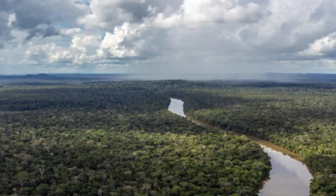 MPF e DPU recomendam que Funai e Incra adotem regularização fundiária da Terra Indígena Valparaíso