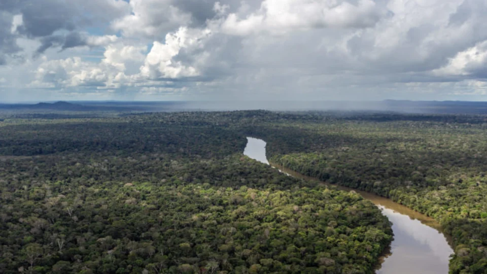 MPF e DPU recomendam que Funai e Incra adotem regularização fundiária da Terra Indígena Valparaíso