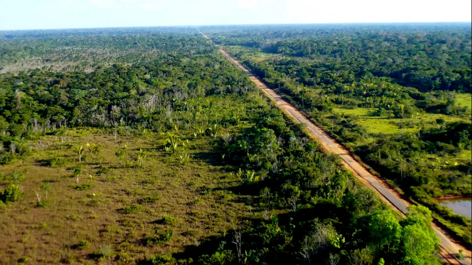 MPF recorre para que audiências sobre licenciamento da BR-319 sejam suspensas