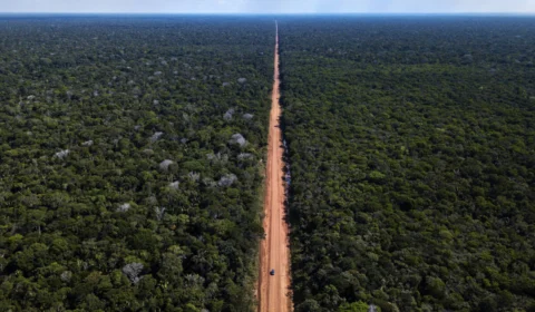 CPI das ONGs: Relatórios da Abin mostram espionagem, interferência em obras e manipulação de indígenas