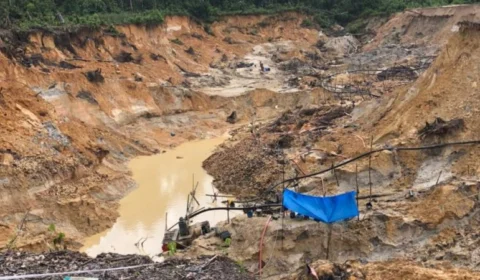 STF declara inconstitucional lei de Roraima que prevê uso de mercúrio no garimpo