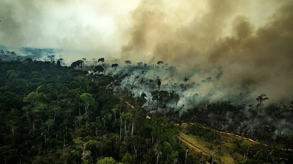 Senado debate relatório de painel sobre mudanças climáticas. ONU classificou com código vermelho
