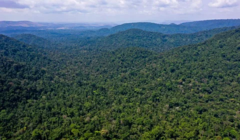 Unesco e Amazonas lançam plano de ação para Amazônia Central