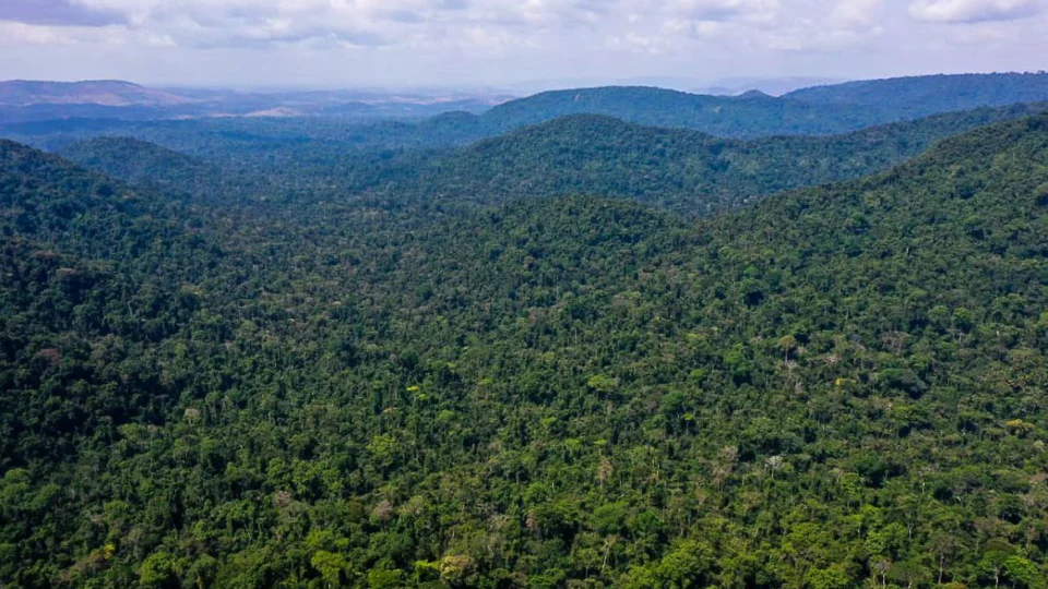Unesco e Amazonas lançam plano de ação para Amazônia Central