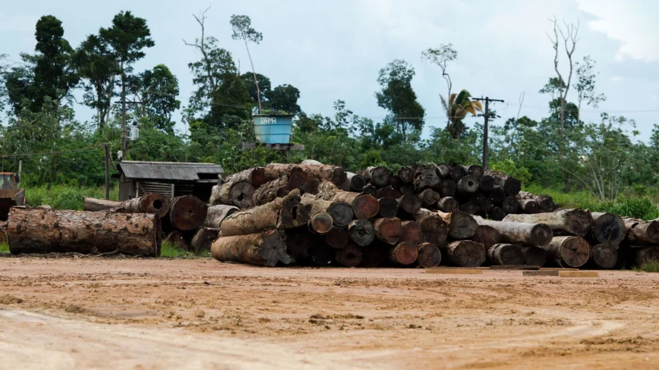 Quadro insuficiente prejudica atuação do Ibama, diz auditor do TCU