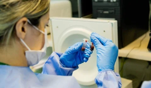 Amazonas investe R$ 11 milhões em pesquisas voltadas à biodiversidade e inovação tecnológica ao setor primário