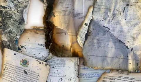 ‘Queima de Arquivo’: Recibos e documentos da administração Eduardo Braga são incendiados em área de mata, em Manaus