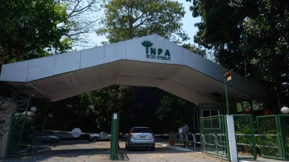 Pesquisa de monitoramento de carbono custará R$ 2,8 milhões ao Inpa