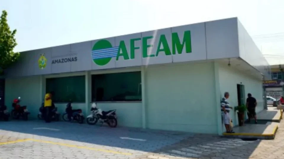 Afeam tem recordes em contratos e empreendedores atendidos em 2021