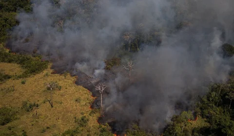 Em meio à COP26, Senado analisa projeto que adapta legislação ao Acordo de Paris