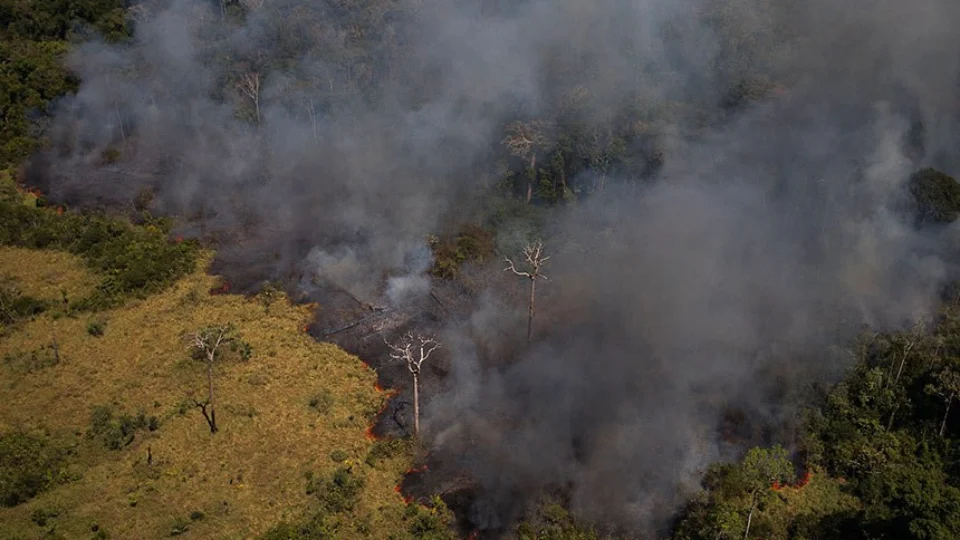Em meio à COP26, Senado analisa projeto que adapta legislação ao Acordo de Paris