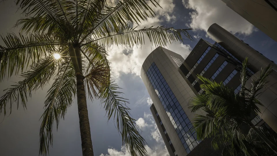 Corte de Justiça do Amazonas é formada 30% por mulheres