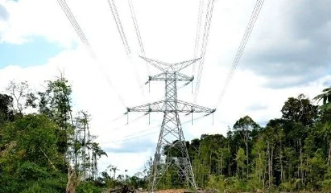 Justiça condiciona licenciamento de obras do Linhão de Tucuruí a compensação exigida pelos indígenas kinja