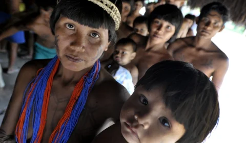 MPF pede suspensão imediata de licença concedida pelo Ibama para construção do linhão de Tucuruí