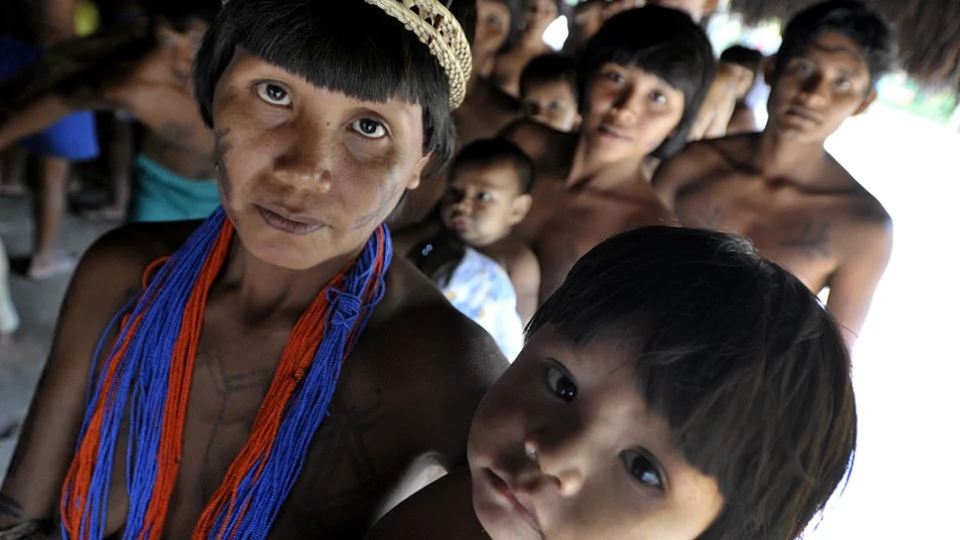 MPF pede suspensão imediata de licença concedida pelo Ibama para construção do linhão de Tucuruí