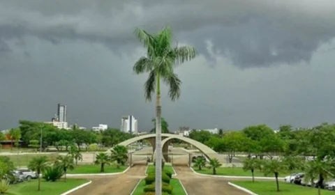 Governo do Tocantins decreta situação de emergência devido às chuvas