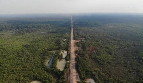 DNIT-AM vai gastar mais de R$ 51,2 milhões em trecho da BR-319