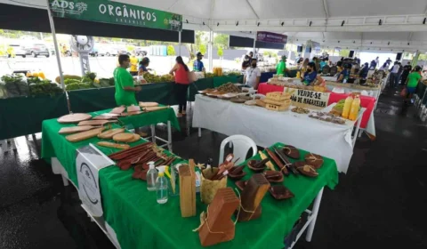 Estado vislumbra cenário positivo para feiras de produtos regionais em 2022