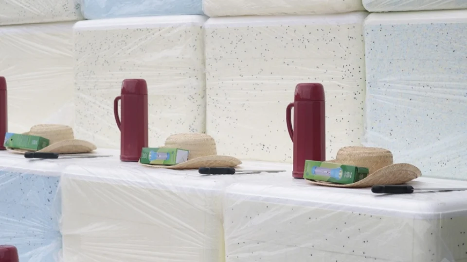 Setor primário: repasses do Governo do Estado da ordem de R$ 5,3 milhões beneficiaram 26 municípios