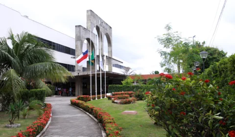 CMM terá espaço exclusivo para cães e gatos